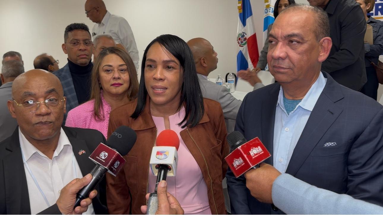 La diputada Kenia Bidó ofrece declaraciones a la prensa en Nueva York