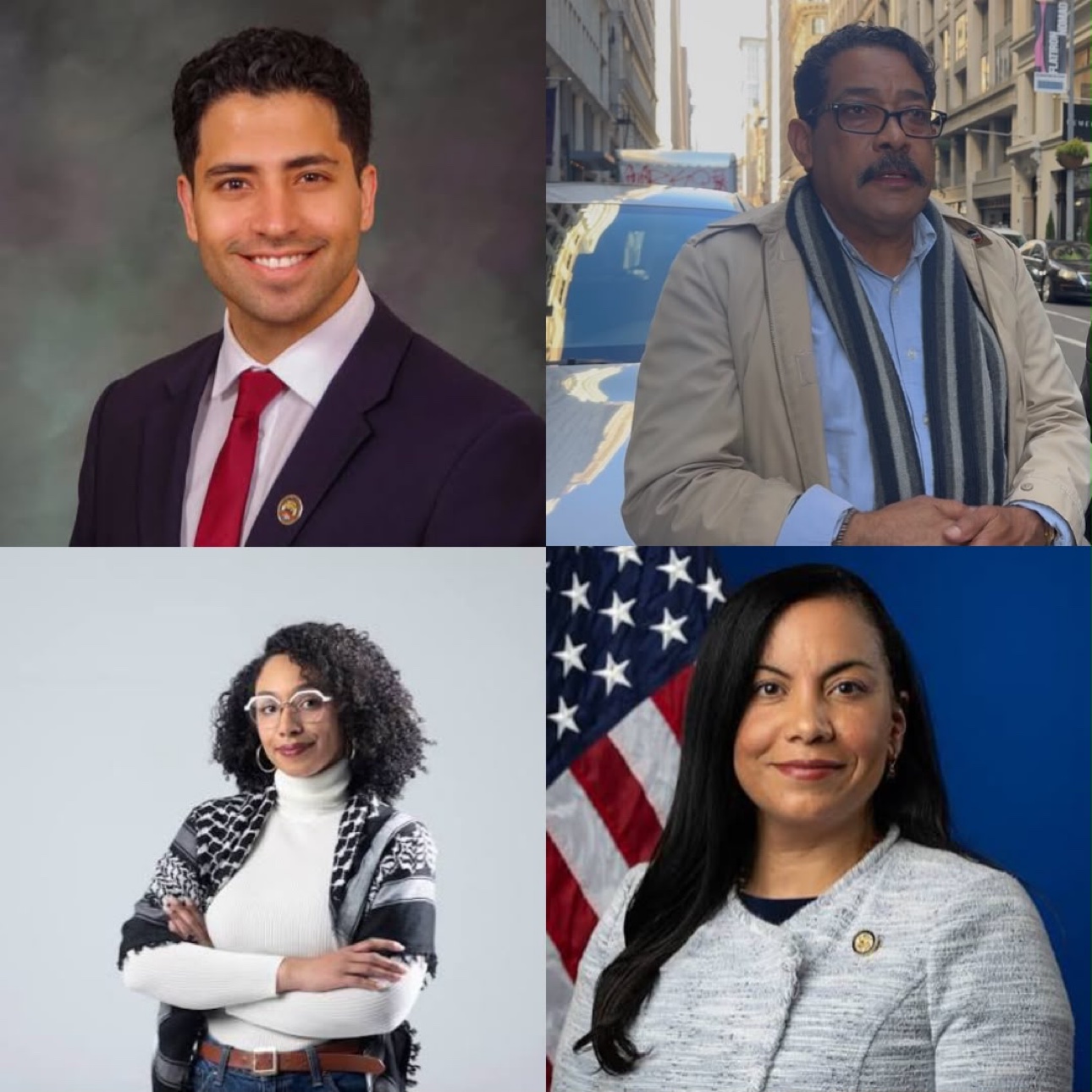 Candidatos de origen dominicano que aspiran a escaños en el Congreso federal y a cargos legislativos estatales